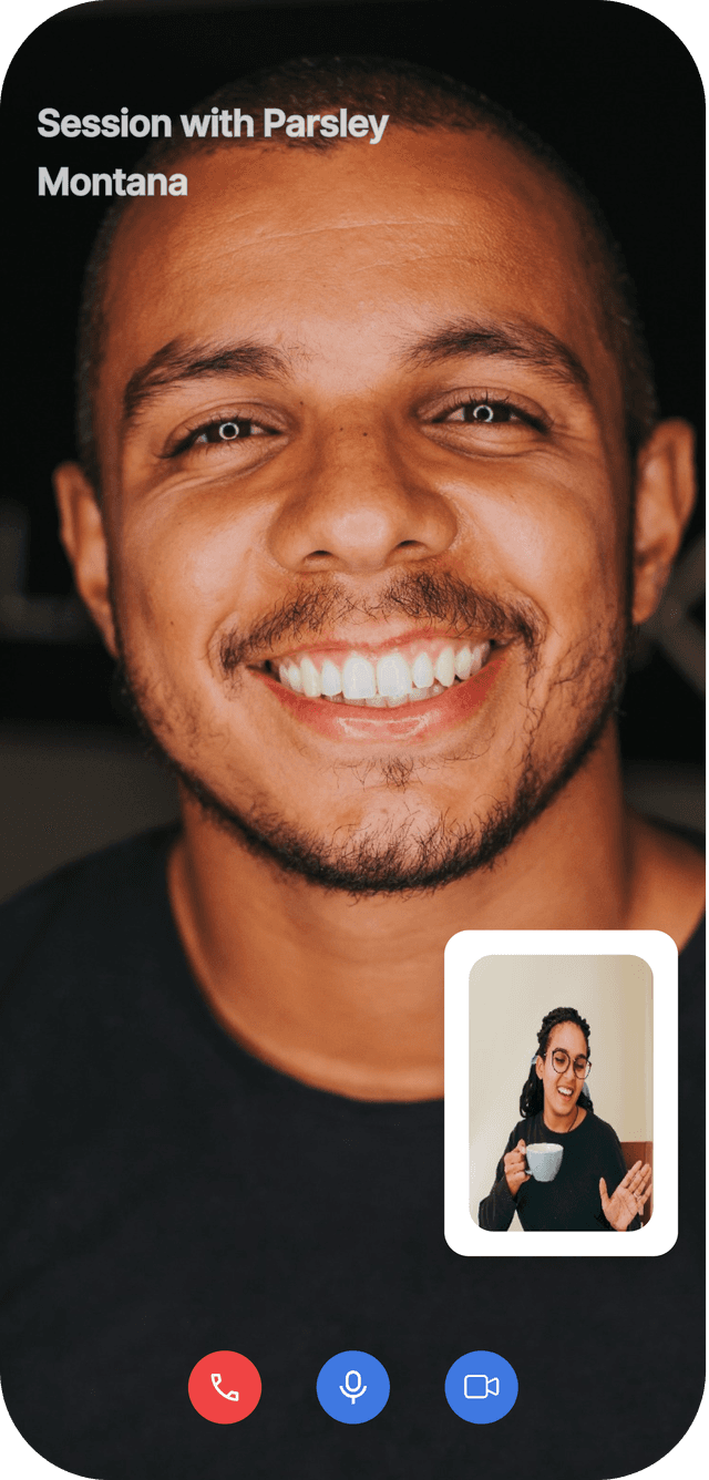 Video call session with a Blueroomcare provider