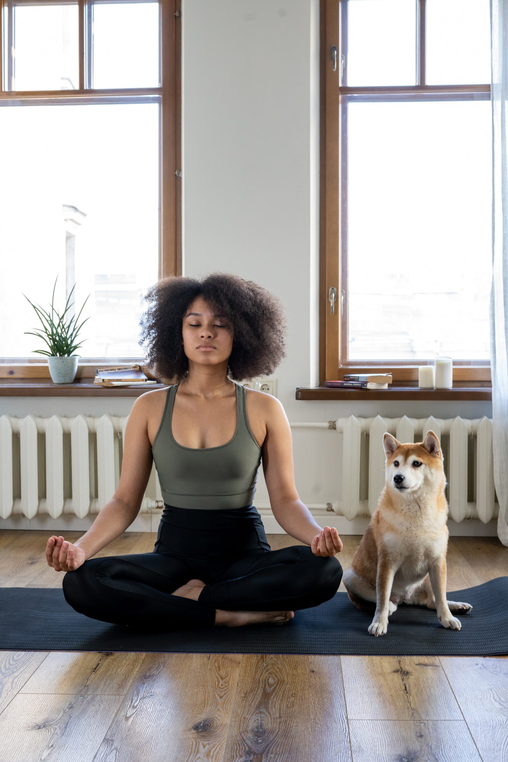 Photo by cottonbro studio: https://www.pexels.com/photo/woman-meditating-beside-her-dog-4056529/